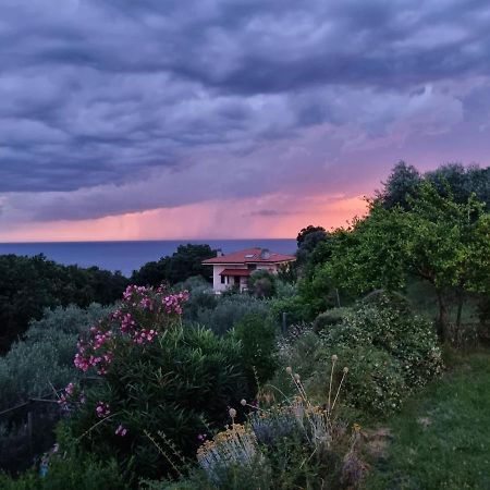 Piccola California Bed & Breakfast Muggia Exterior photo